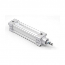 Пневмоцилиндр PNY-80-050 Pemaks