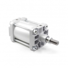 Пневмоцилиндр PMBYA-125-250 Pemaks